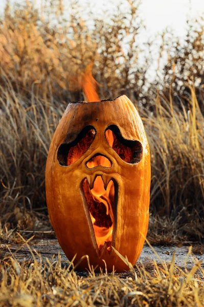 Halloween skräck tema. Halloween pumpa brinner på marken. — Stockfoto