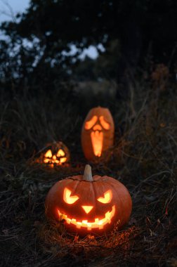 Geceleri ormanda parlayan üç Cadılar Bayramı balkabağı.