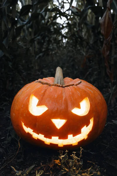 Hintergrund sind die Feiertage zu Halloween. Gruselig glühender Jack-o-Laterne-Kürbis auf dem Boden in einem Maisfeld. — Stockfoto