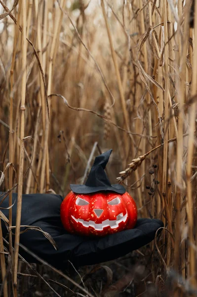 Halloween-Hintergrund. Menschliche Hand in schwarzem Handschuh hält einen gruseligen Halloween-Kürbis mit Hexenhut in einem Weizenfeld. — Stockfoto