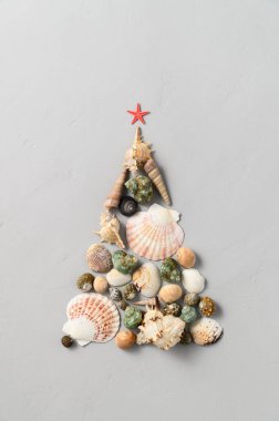 Alternatif Noel ağacı deniz kabuklarından yapılmıştır ve açık gri arka planda kırmızı bir deniz yıldızı vardır..