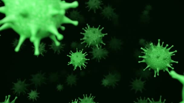 Deadly virus inside a biological organism, dof — Stock Video