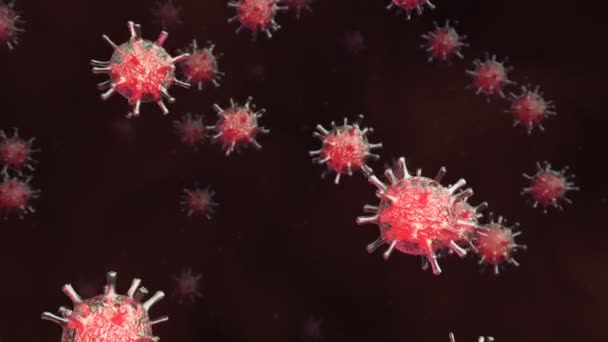 Red cells of the virus in a blood liquid — Stock Video