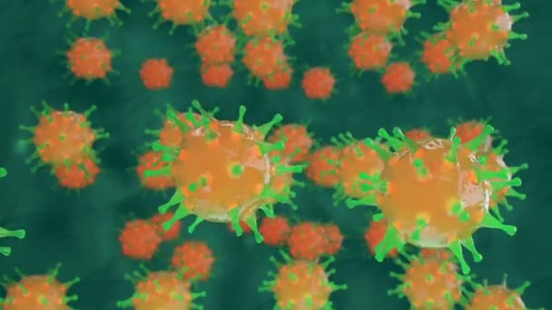 Bakterienzellen durch einen mikroskopischen Sucher — Stockvideo
