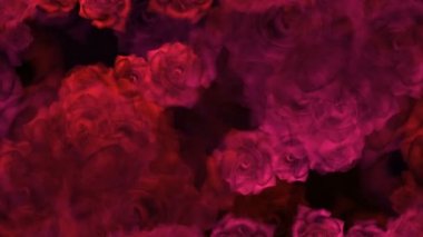 Düğün video için bir arka plan üzerinde kırmızı gül tomurcukları