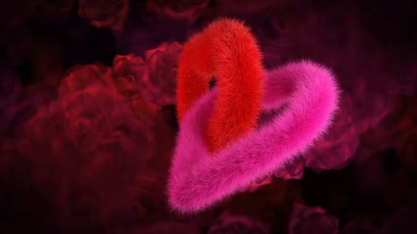 Vereinigung zweier Herzen, rot und rosa auf roter Rose bg — Stockvideo