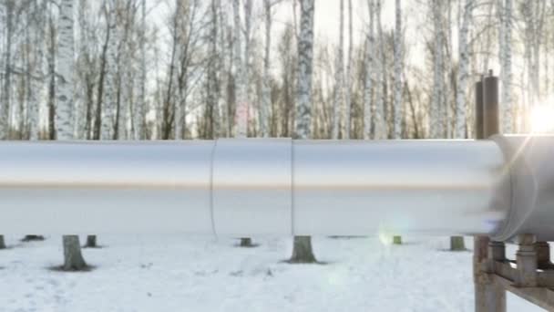 Construção de oleodutos na floresta de inverno no norte do país no inverno — Vídeo de Stock