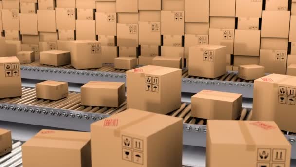 Armazém com muitas caixas de papelão e produtos de internet na linha de transporte — Vídeo de Stock