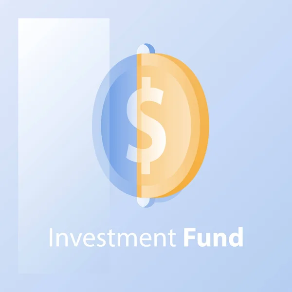 Investmentfonds, Finanzlösung, Bereitstellung von Geld, Kassenkredit, Kapitalwachstum, Einkommenssteigerung, Vermögensverwaltung — Stockvektor