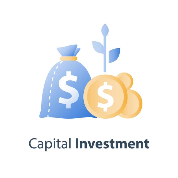Geldbeutel und Münzen mit Pflanzenstamm, Investmentfonds, Rentensparkonto, Überannoncierungszahlung, Kapitalallokation — Stockvektor