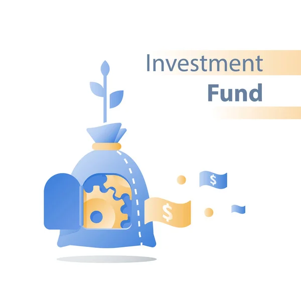 Solução financeira eficiente, fundo de investimento, conta de poupança de pensões, angariação de fundos, fundo mútuo, crescimento do valor, empréstimo empresarial —  Vetores de Stock