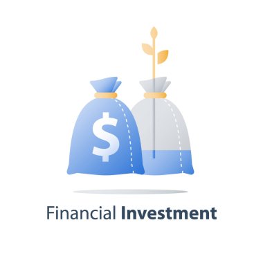 Uzun vadeli yatırım, gelir artışı, gelir artışı, yüksek faiz, mali bütçe, kazanmak daha fazla para, iş kar