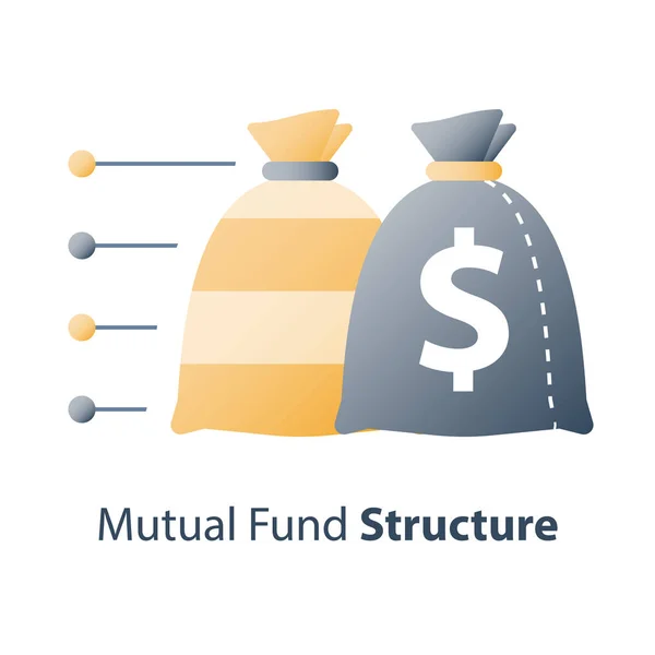 Diversificación de activos, estructura de los fondos de inversión, concepto de fondos mutuos, solución financiera, distribución de capital — Vector de stock