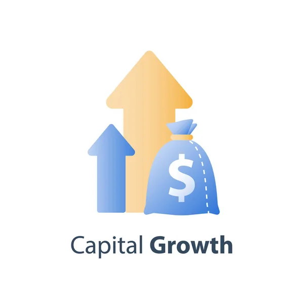 Valor financiero crecimiento constante, estrategia de inversión a largo plazo, asignación de activos, aumento de ingresos, tasa de interés de los fondos mutuos — Vector de stock