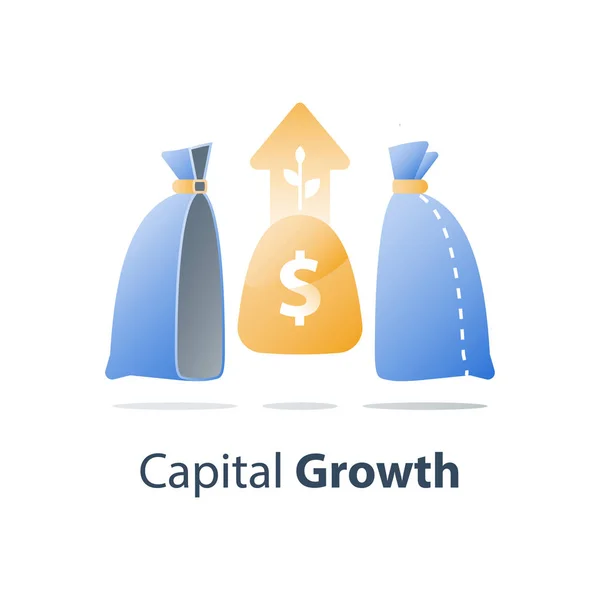 Crescimento de capital, solução de fundos de investimento, gestão de riqueza, ganhar mais dinheiro, estratégia de investimento a longo prazo, conta de poupança de pensões —  Vetores de Stock