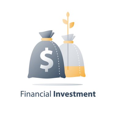 Uzun vadeli yatırım, gelir artışı, gelir artışı, yüksek faiz, mali bütçe, kazanmak daha fazla para, iş kar