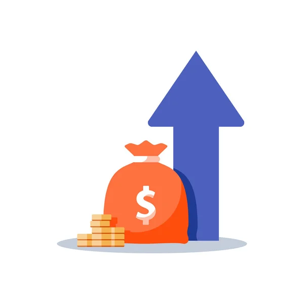 Aumento de renda, estratégia financeira, retorno sobre o investimento, captação de fundos, incremento de longo prazo, crescimento de receita, parcela de empréstimo —  Vetores de Stock