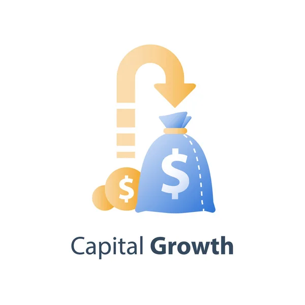 Zwrot z inwestycji, budżet, planowanie, kredyt gotówkowy, zarobić więcej pieniędzy, wzrost dochodów, długoterminowe oszczędności konto, płatności do funduszu emerytalnego — Wektor stockowy