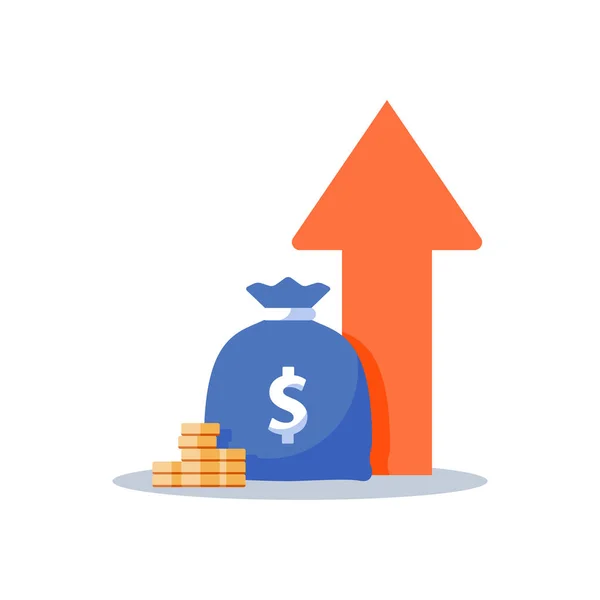 Aumento de renda, estratégia financeira, retorno sobre o investimento, captação de fundos, incremento de longo prazo, crescimento de receita, parcela de empréstimo — Vetor de Stock