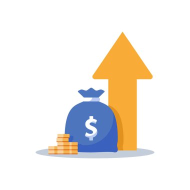 Gelir artışı, mali strateji, yatırım, fon yaratma, uzun vadeli artış, gelir artışı, kredi taksiti üzerinde dönüş