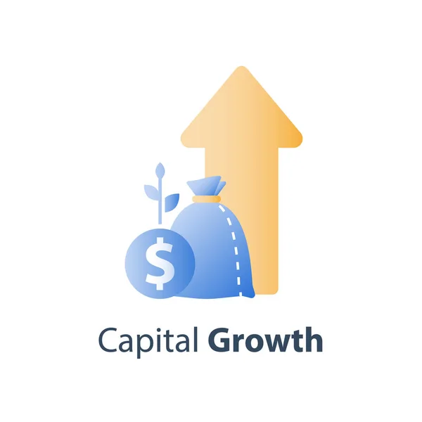 Valor financiero crecimiento constante, estrategia de inversión a largo plazo, asignación de activos, aumento de ingresos, tasa de interés de los fondos mutuos — Archivo Imágenes Vectoriales