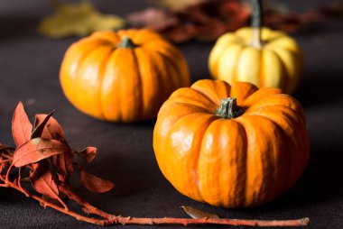 siyah arka plan üzerine Cadılar Bayramı için parlak turuncu mini kabaklar