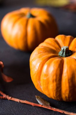 siyah arka plan üzerine Cadılar Bayramı için parlak turuncu mini kabaklar