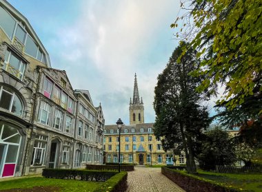 Leuven 'de modern mimariyle tezat oluşturan karmaşık gotik bir kuleye sahip büyük bir üniversite binasının çarpıcı görüntüsü, tarih ve yeniliğin ahenkli bir karışımını gözler önüne seriyor..