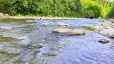 Ukrayna 'nın İvano-Frankivsk bölgesindeki Novy Mizun köyündeki Mizunka ve Karpatya dağlarının yaz manzarası. 