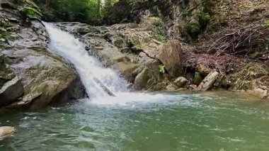 Lyubizhnyanskiy Huk, çağlayan şelale, Ukrayna. Atmosferik büyülü şelale Karpatya dağlarındaki derin yeşil ormanlarda.