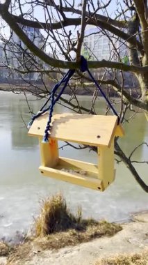 Güneşli bir kış gününde, çam ağacından sarkıtılmış bir kuş yemliği. Kış parkındaki bir dala asılı kuş yemliği kuşlara yardım ediyor ve onları besliyor. 