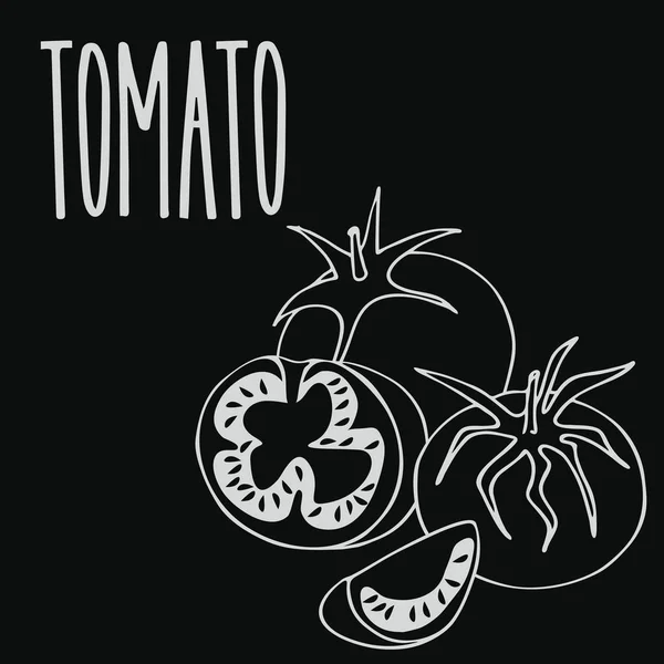Tiza de tomate maduro vegetal — Archivo Imágenes Vectoriales