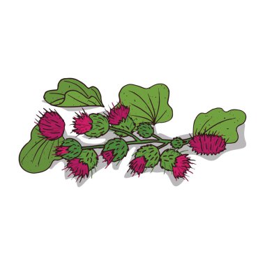 İzole clipart Dulavratotu