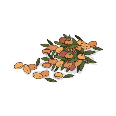 İzole clipart Argan