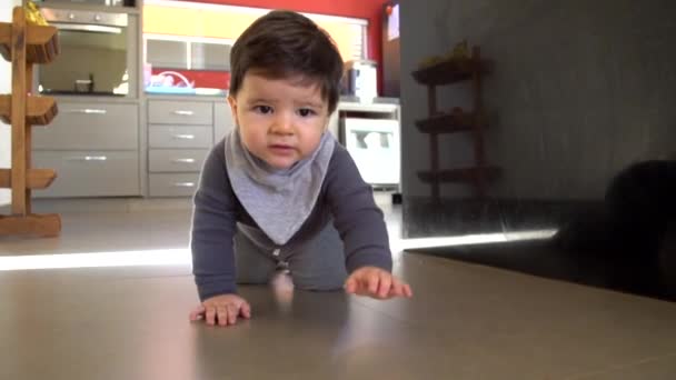 Schattig Baby Jongen Grappige Verkenningen Vloer — Stockvideo