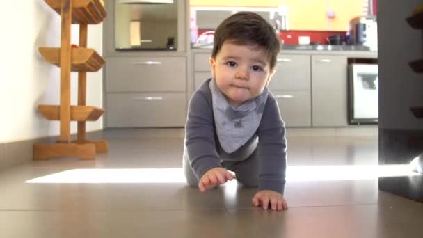 可爱的婴儿男孩滑稽爬在地板上 — 图库视频影像