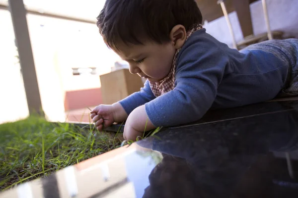 Beautiful Baby Boy Fidgeting Grass — Stock Photo, Image