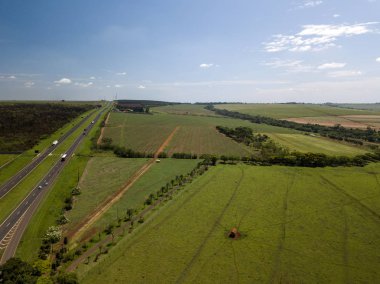 Şeker kamışı alan Sao Paulo devlet, Brezilya için düz yolda havadan görünümü