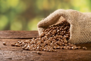 Çuval da kırmızı fasulye, sağlıklı baklagiller fasulye, seçici odak