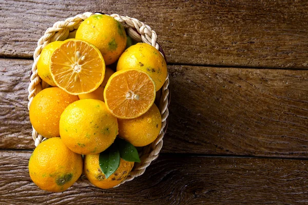 Rangpur lime oder limao cravo auf portugiesisch, bedeckt mit reifen Früchten. Brasilien. — Stockfoto