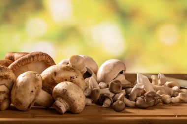 Ahşap bir masa üzerinde mantar çeşitli