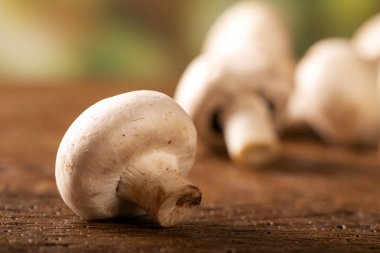 Ahşap Arka Plan Üzerinde Paris veya champignon Mantar 