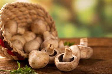 Ahşap Arka Plan Üzerinde Paris veya champignon Mantar 