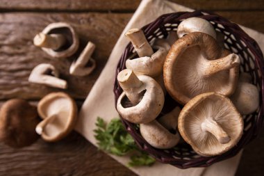 Ahşap bir masa üzerinde mantar çeşitli