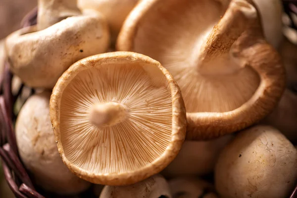 A selection of Shitake Mushrooms Stock Photo by ©antoine2000 2998995