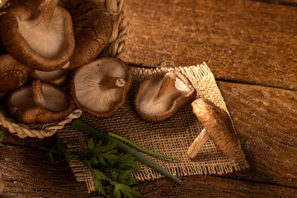 木背景上的香菇 — 图库照片