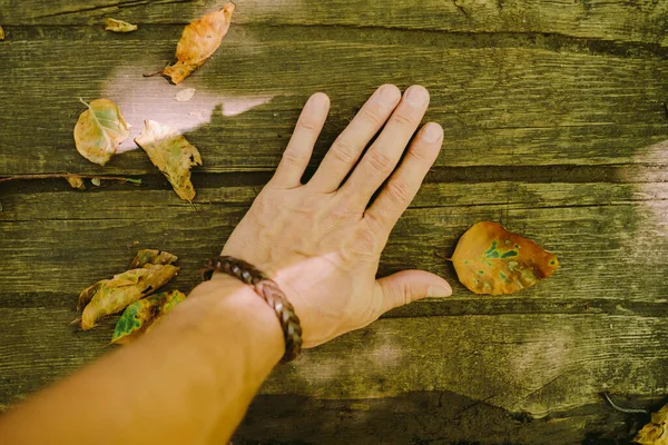 Foglie autunnali su fondo di legno — Foto Stock