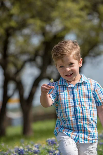 Молодий Хлопчина Малюк Який Збирає Квіти Полі Блу Бонне Техасі — стокове фото