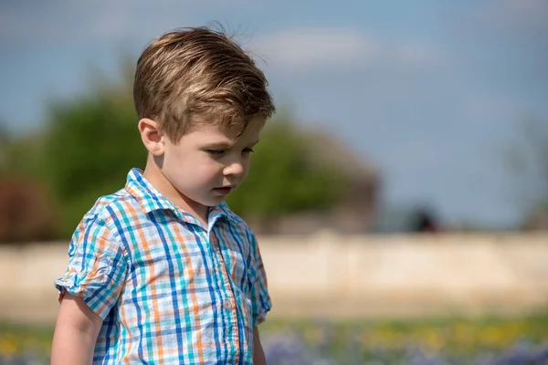 Młody Chłopiec Zbieranie Kwiatów Polu Niebieskich Bonnets Teksasie — Zdjęcie stockowe