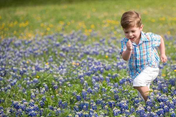 Niño Pequeño Recogiendo Flores Campo Los Sombreros Azules Texas Fotos De Stock